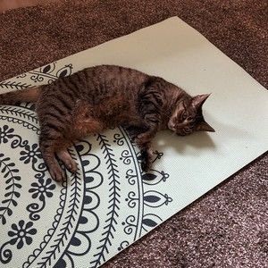 Meet your Posher, Marilyn